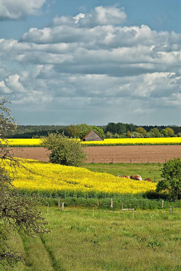 Ferien Auf Tippen Hof Bleckede